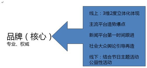 华夏品牌整合营销运营战略规划与项目营销策划方案